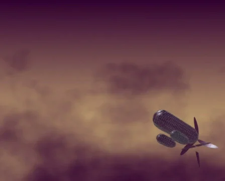 Fantasy flying machine (PAL) Stock Footage 81653