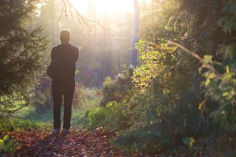 Fantasy forest landscape. Stock Photos