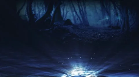 Fantasy Forest Loop Stock Footage 7758599