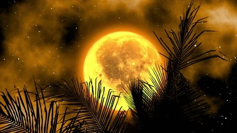 Fantasy Full Moon and cloudy behind the coconut tree silhouette Stock Footage 157345515