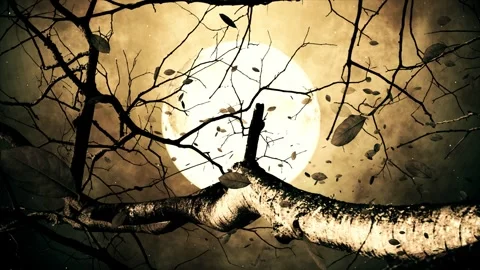 Fantasy Full Moon Night behind the trees Video stock 253385872