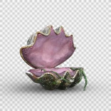 Fantasy giant clam shell open like a mermaid seat. 3D illustration isolated. Stock Illustration
