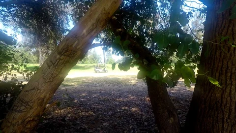 Fantasy Golf Cart Video stock 92768707