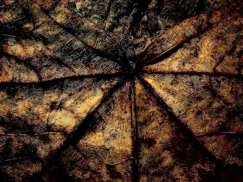 Fantasy grange background from maple leaf Stock Photos