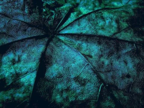 Fantasy grange background from maple leaf Foto stock