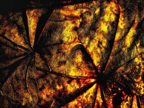 Fantasy grange background from maple leaf Foto stock