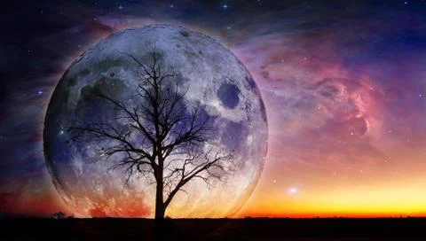 Fantasy landscape - Lonely bare tree silhouette with huge planet rising beh.. Foto stock