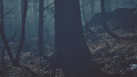 Fantasy moody forest in autumn Illustrazione stock