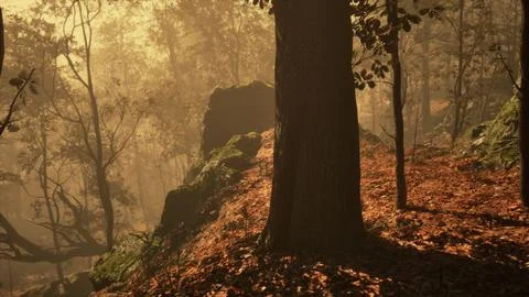 Fantasy moody forest in autumn Illustrazione stock