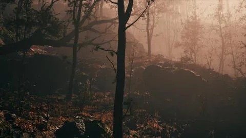 Fantasy moody forest in autumn Stock Illustration