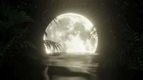 Fantasy Moon Night Dream Background Stock Footage 246001880
