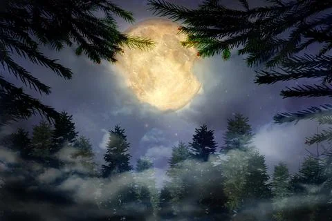 Fantasy night. Full moon in cloudy sky over fir forest, view through branches Ilustração Stock
