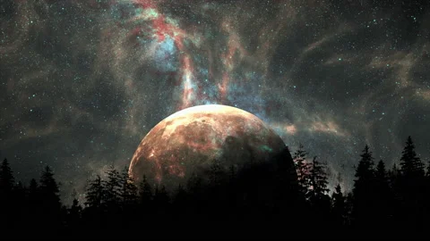 Fantasy night with moon and trees Stock Footage 167811926