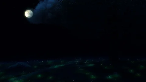 Fantasy night scene with fireflies Stock Footage 73054814