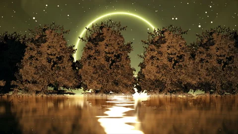 Fantasy Night with tree view Stock Footage 232824885