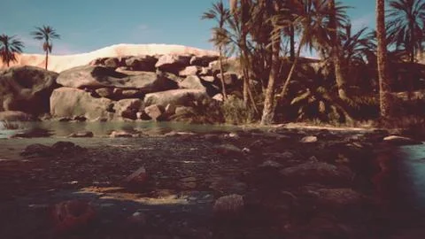 Fantasy pond oasis in a palm forest Stock Illustration