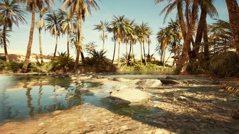 Fantasy pond oasis in a palm forest Stock Illustration
