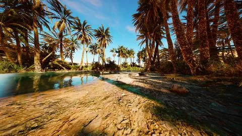 Fantasy pond oasis in a palm forest Stock Illustration