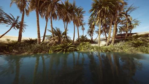 Fantasy pond oasis in a palm forest Stock Illustration