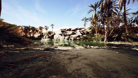 Fantasy pond oasis in a palm forest Stock Illustration