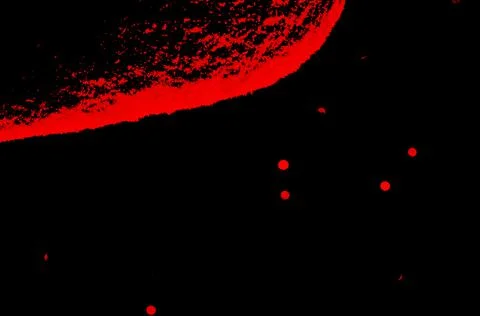 Fantasy red on black Stock Photos