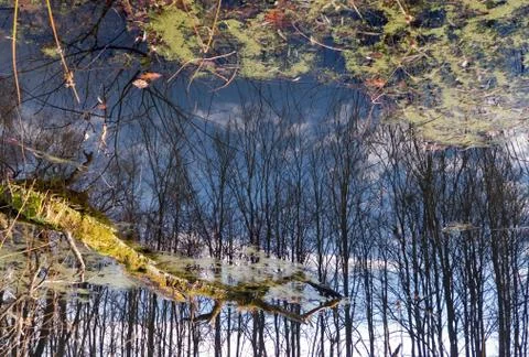 Fantasy of reflection Stock Photos