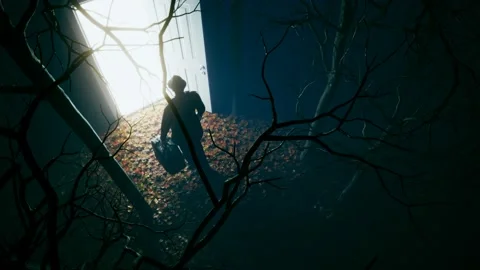 Fantasy scene. A man with a suitcase passed through the door portal in the wood. Stock Footage 201244257