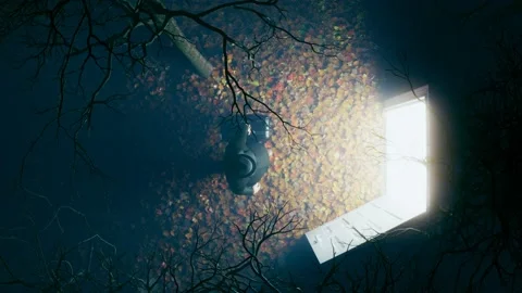 Fantasy scene. A man with a suitcase passed through the door portal in the wood. Stock Footage 201244512