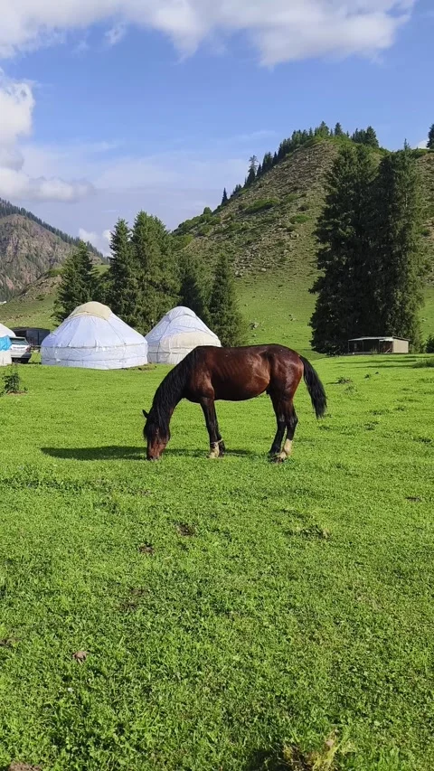 Fantasy on the theme of life in Central Asia. Stock Footage 272166876