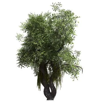 Fantasy tree 3d illustration isolated on white background Illustrazione stock