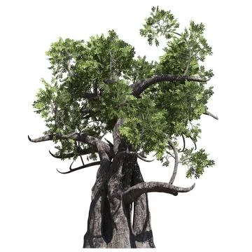 Fantasy tree 3d illustration isolated on white background Illustration