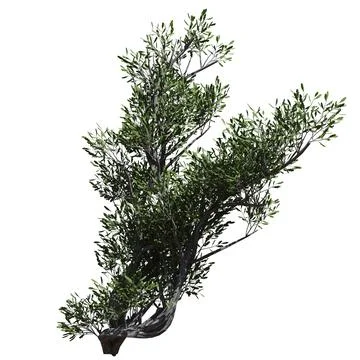 Fantasy tree 3d illustration isolated on white background Illustrazione stock