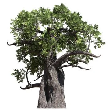 Fantasy tree 3d illustration isolated on white background Stock Illustration