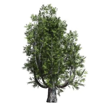 Fantasy tree 3d illustration isolated on white background Stock Illustration