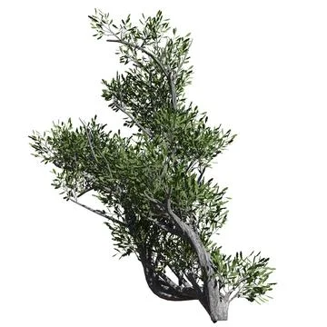 Fantasy tree 3d illustration isolated on white background Stock-Illustration