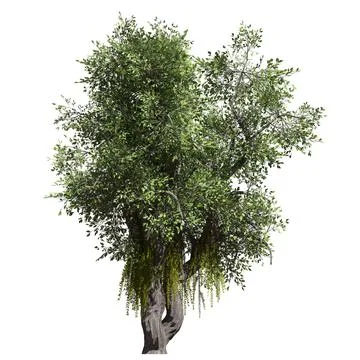 Fantasy tree 3d illustration isolated on white background Stock-Illustration