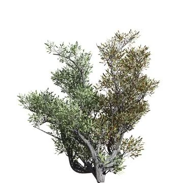 Fantasy tree 3d illustration isolated on white background Illustrazione stock