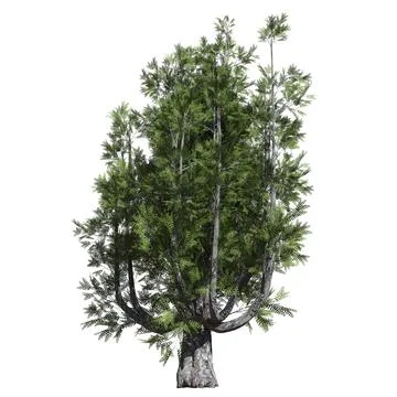 Fantasy tree 3d illustration isolated on white background Illustrazione stock