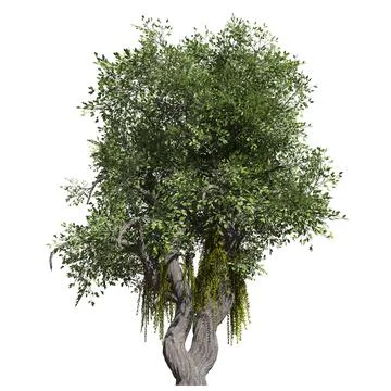 Fantasy tree 3d illustration isolated on white background Illustrazione stock