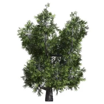 Fantasy tree 3d illustration isolated on white background Stock Illustration