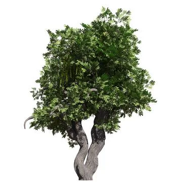 Fantasy tree 3d illustration isolated on white background Stock Illustration