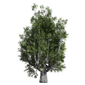 Fantasy tree 3d illustration isolated on white background Stock Illustration