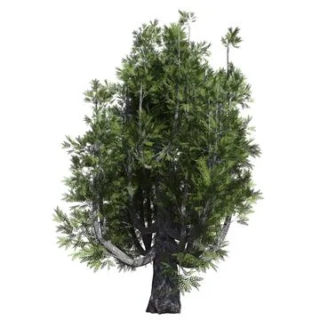 Fantasy tree 3d illustration isolated on white background Stock Illustration
