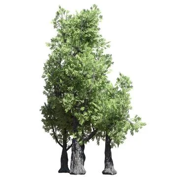 Fantasy tree 3d illustration isolated on white background Illustrazione stock