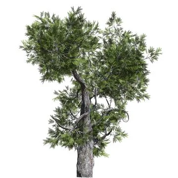 Fantasy tree 3d illustration isolated on white background Stock-Illustration