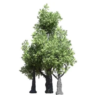 Fantasy tree 3d illustration isolated on white background Stock-Illustration