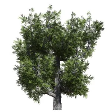 Fantasy tree 3d illustration isolated on white background Illustrazione stock