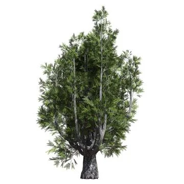 Fantasy tree 3d illustration isolated on white background Stock Illustration