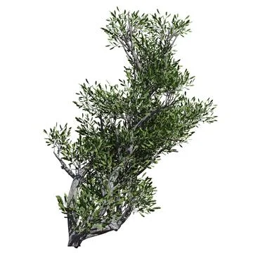 Fantasy tree 3d illustration isolated on white background Stock Illustration
