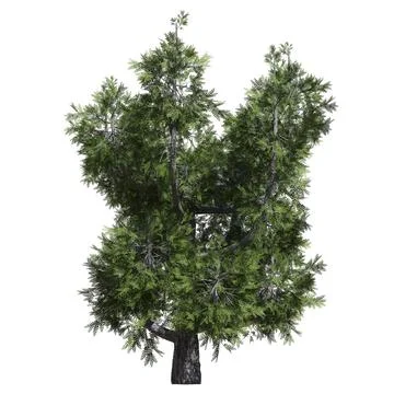 Fantasy tree 3d illustration isolated on white background Stock Illustration